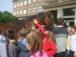 Kůň před školou …