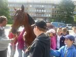 Kůň před školou …