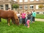 SOS - život pro koně (návštěva koníka Beníka)