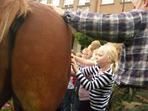 SOS - život pro koně (návštěva koníka Beníka)