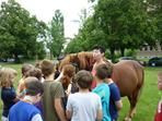 Na návštěvě kůň